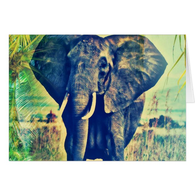 Palmiers éléphants (Devant horizontal)