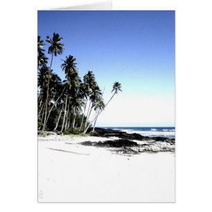 Palmiers exotiques & Plage Paradise