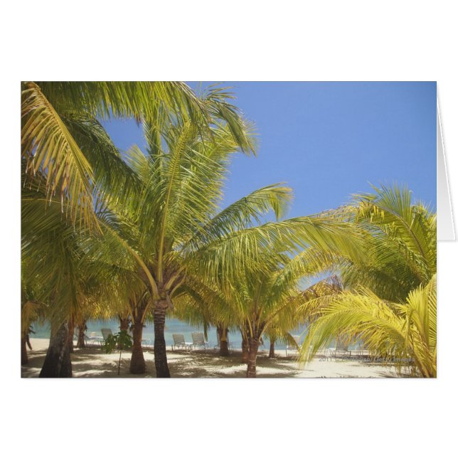 Palmiers sur une plage blanche de sable du (Devant horizontal)