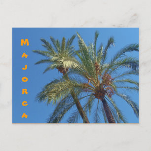 Palms Majorque - Carte postale