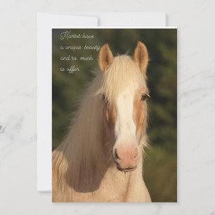 Palomino Gypsy Vanner Horse carte de voeux
