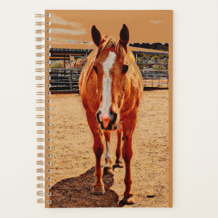 Palomino Horse Daily Planner