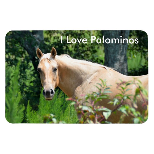 Palomino Horse Magnet flexible (Horizontal)
