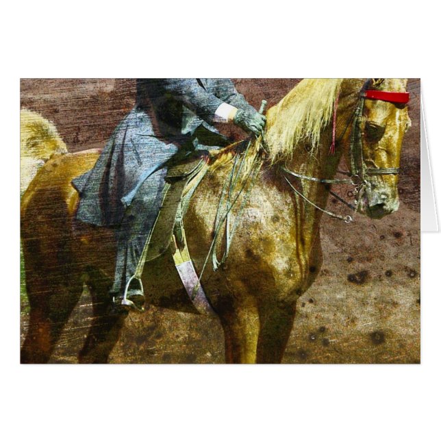 Palomino Saddleseat Grunge (Devant horizontal)