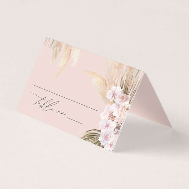 Pampas botanique séché botanique naturel botanique (Front)