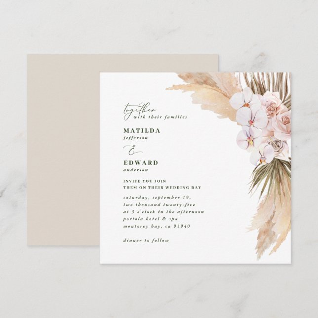 Pampas herbe dessert naturel sec botanique (Devant / Derrière)