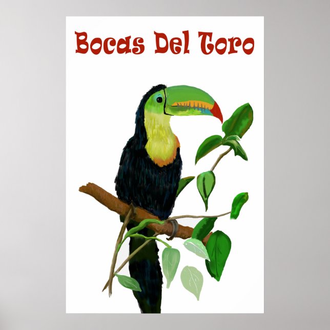Panamas colorés et tropicaux Poster Toucan. (Devant)
