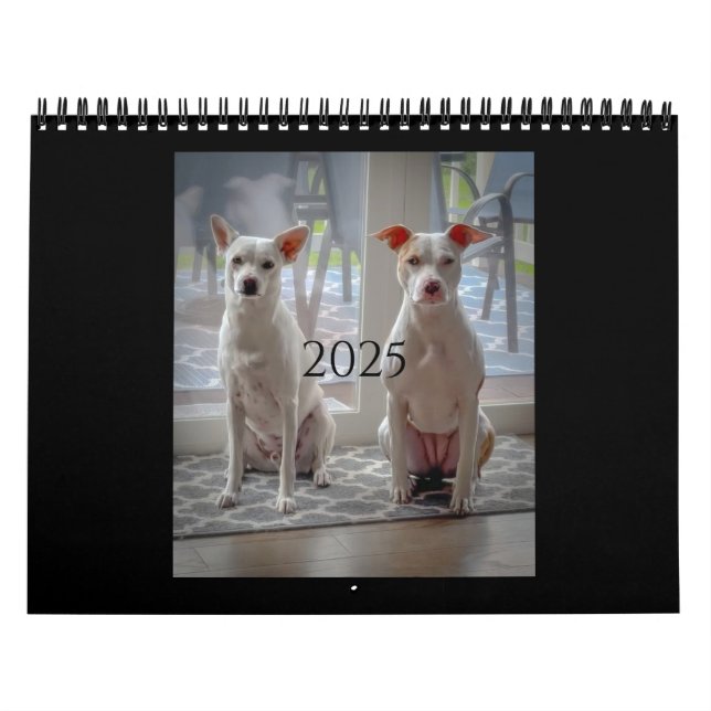 Pancake et milk-shake, calendrier moyen (Protection)