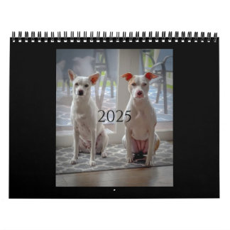 Pancake et milk-shake, calendrier moyen