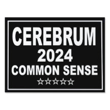 Cerebrum 2024" 18x24 signe de cour de bon sens 202