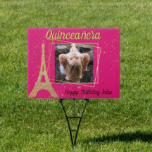 Quinceañera Paris Nights Photo