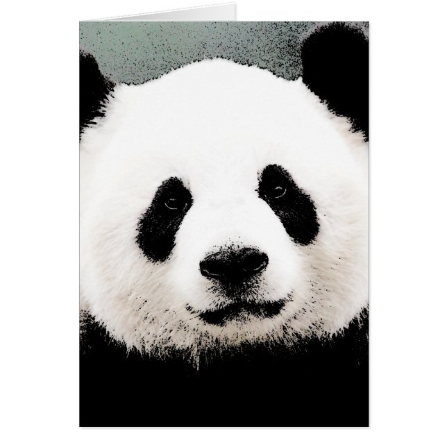 Panda (Devant)