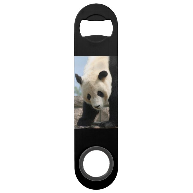 Panda20170506_by_JAMFoto (Devant)