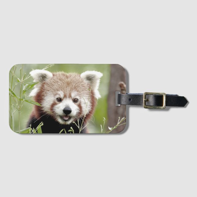 Panda bagage 3 . étiquette bagage (Devant Horizontal)