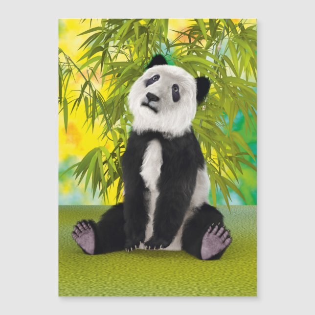 Panda Bear Cub (Devant)