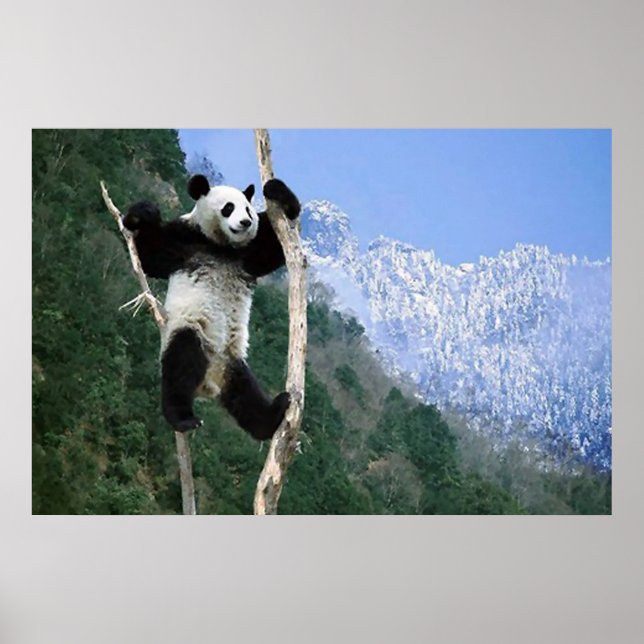 Panda dans un arbre poster (Devant)