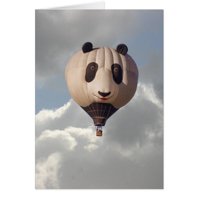PANDA DE CIEL (Devant)