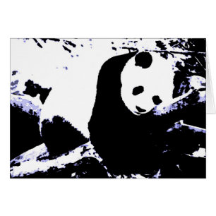 Panda dormant