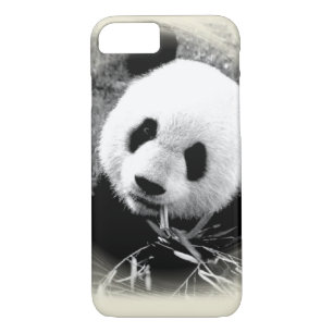 Panda Eyes iPhone 7 Coque