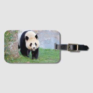 Panda géant bagage 5 . étiquette bagage