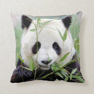 Panda géant de la photo coussin 4.