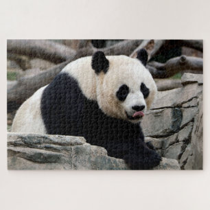 Panda géant relaxant, puzzle