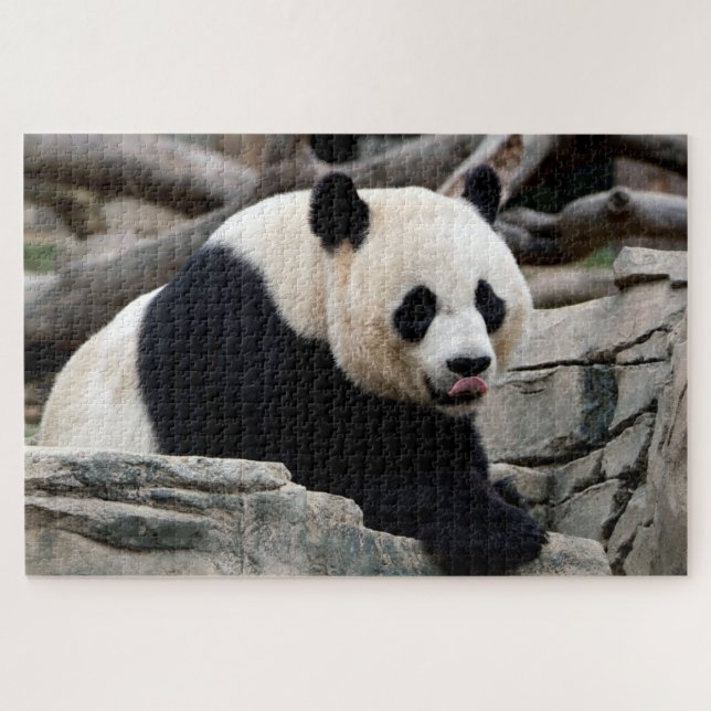 Panda géant relaxant, Puzzle Jigsaw (Horizontal)