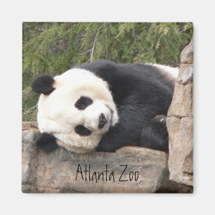 Panda Magnet