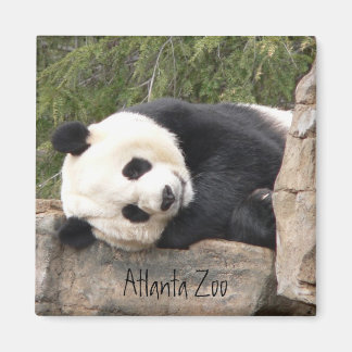 Panda Magnet