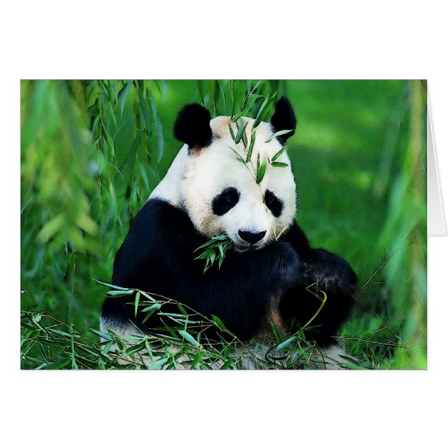 Panda Manger Feuilles (Devant horizontal)