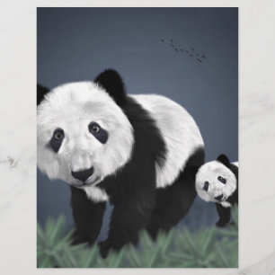 panda ours mignon animal câlin noir blanc doux
