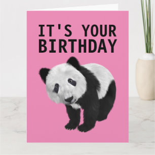 PANDA PORTEZ UNE CARTE D'ANNIVERSAIRE SURTAILLÉE