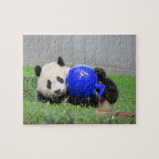 Panda puzzle - Xiao Qi ji, le petit miracle