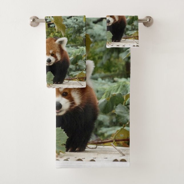 Panda rouge (En situation)