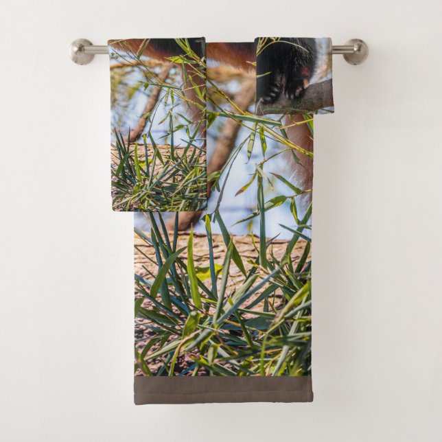 Panda rouge (En situation)