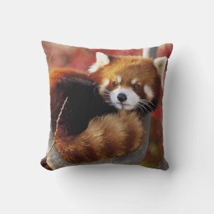 Panda rouge dans un oreiller à lancer d'arbre