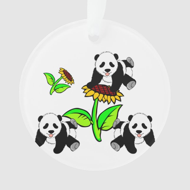 Pandas de tournesol (devant)
