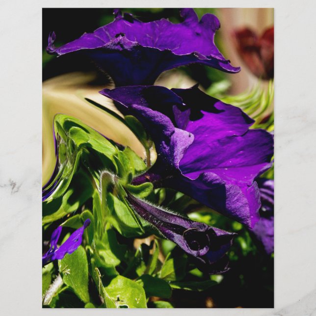 Panic Purple (Devant)