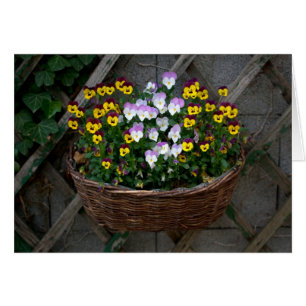 Panier avec pensées