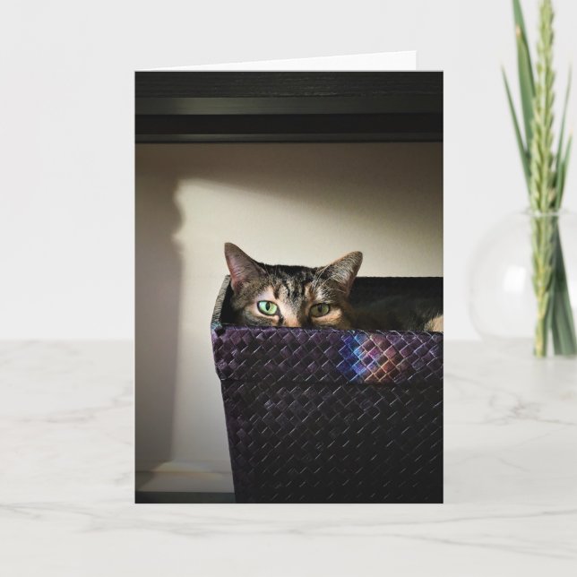 Panier de chat, carte (Devant)