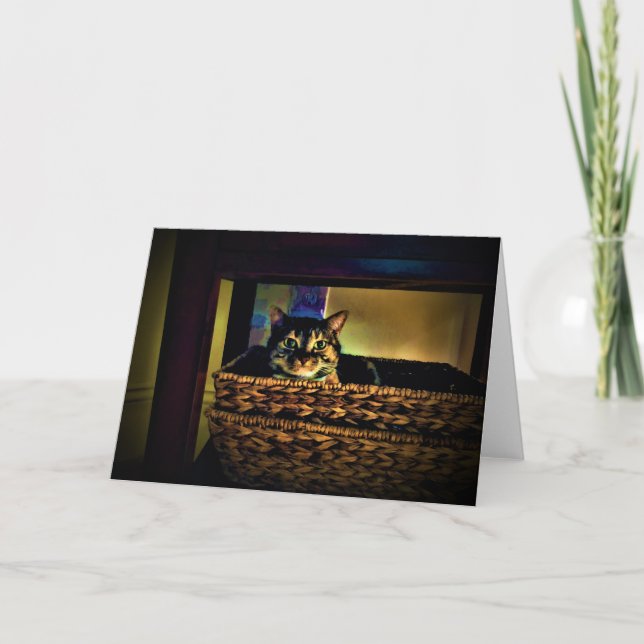 Panier de chat, carte (Devant)