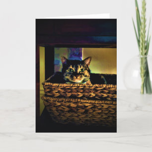 Panier de chat, carte