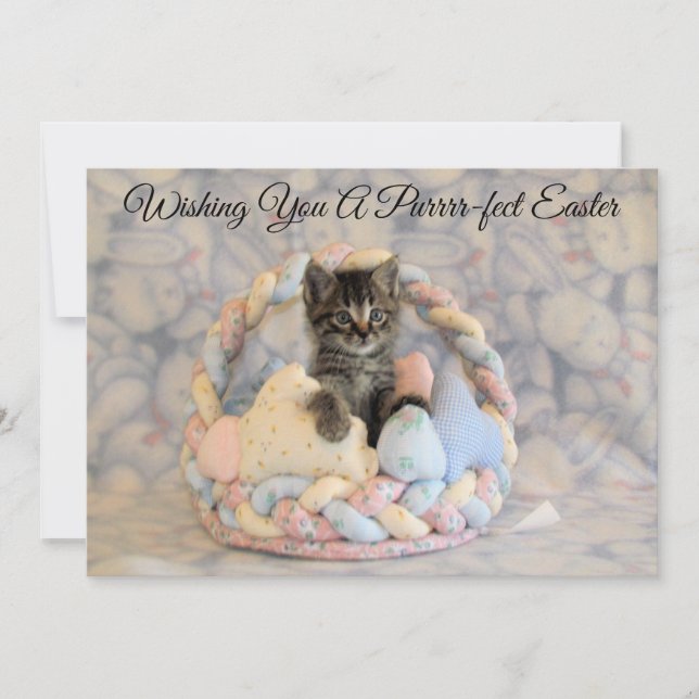 Panier de Pâques de Patton - Chat/Chaton  - Carte  (Devant)