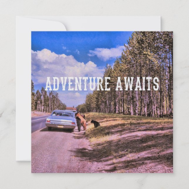 Paniers PIC-A-NIC 5,25 x 5,25 carte (Devant)