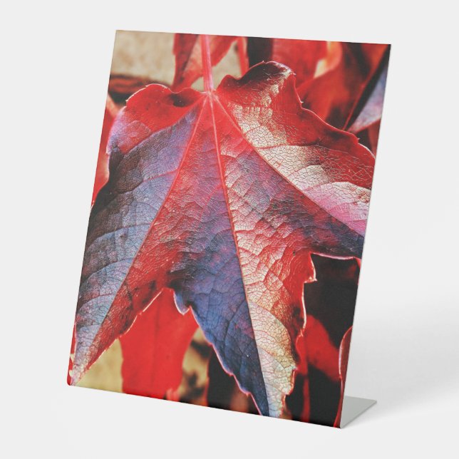 Panneau central en plastique 10"X12" (Recto)