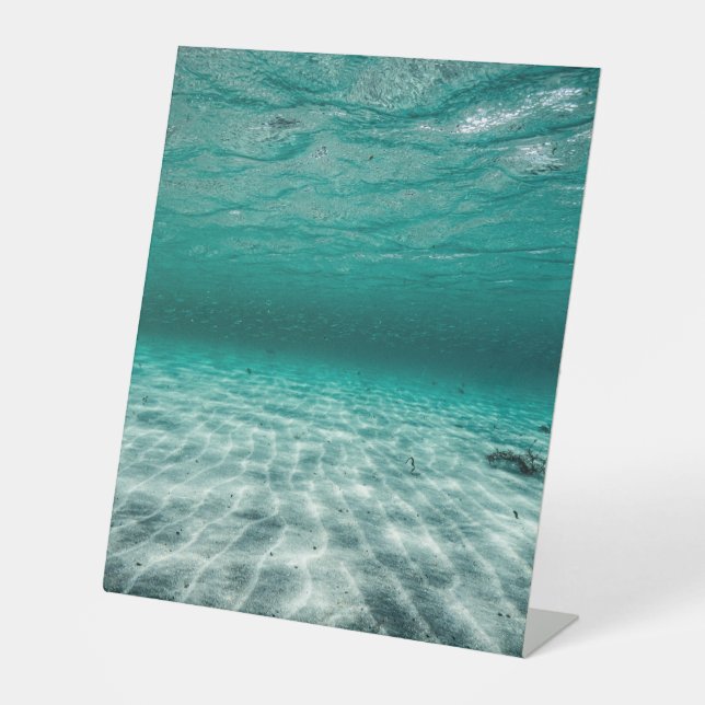 Panneau central en plastique 10"X12" (Recto)