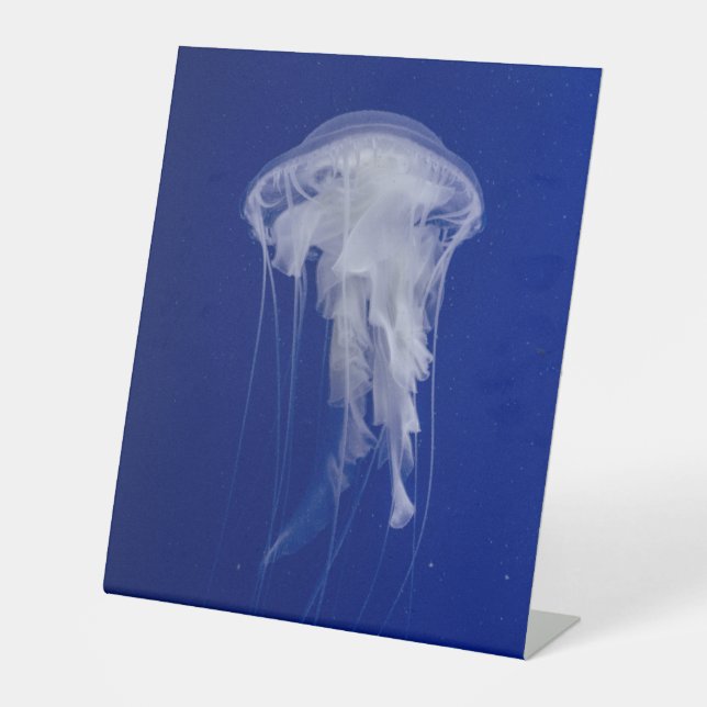 Panneau central en plastique 10"X12" (Recto)