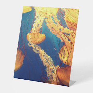 Panneau central en plastique 10"X12"