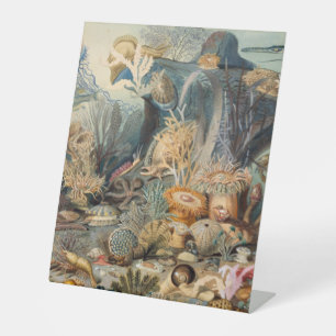 Panneau central en plastique 10"X12"