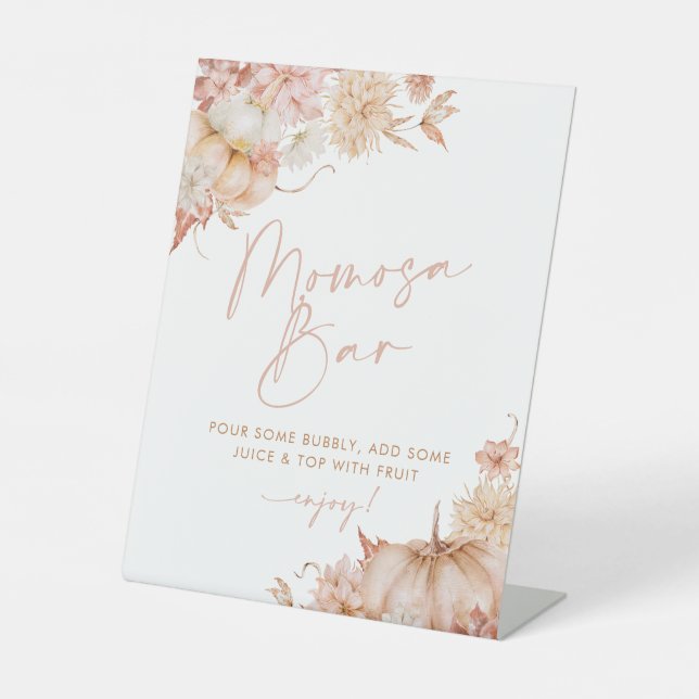 Panneau citrouille Baby shower Automne Mimosa Momo (Recto)